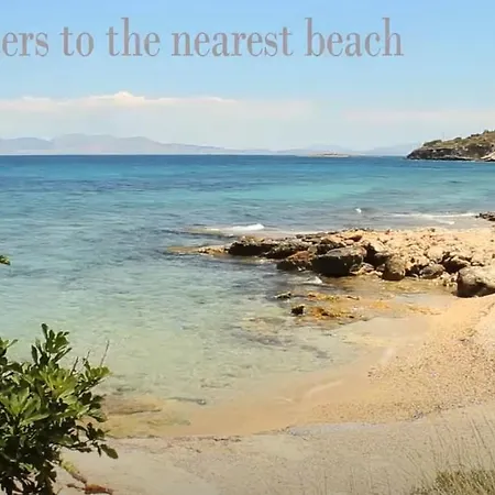 Blue Dolphin Studios And Aparthotel Vagia (Aegina)