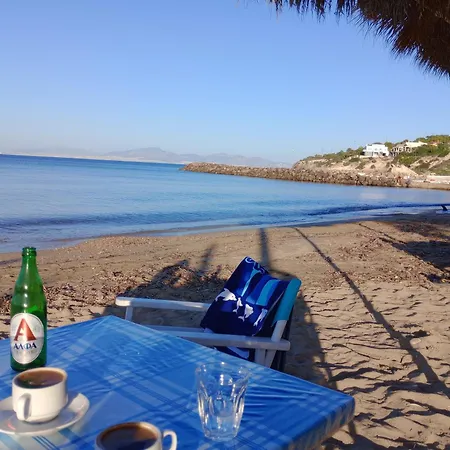 Aparthotel Blue Dolphin Studios And Vagia (Aegina)
